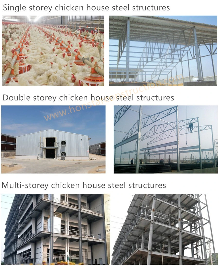 Light Steel Structure Metal Frame Prefabricated Chicken House/Chicken Coop/Hen House/Prefab Poultry Farm House Building with Farming Equipment