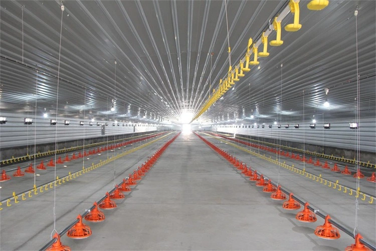 Galvanized/Painted Metal Frame PU/Rockwool/EPS Foam Sandwich Panel Poultry Farm Steel Structure Shed Chicken House for Broiler/Breeder/Egg/Layer Hens