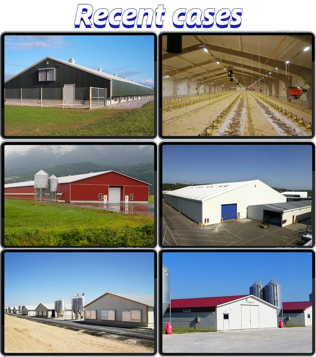 Steel Structure Green Chicken Poultry Structure Fabrication Poultry Farm Houses Price