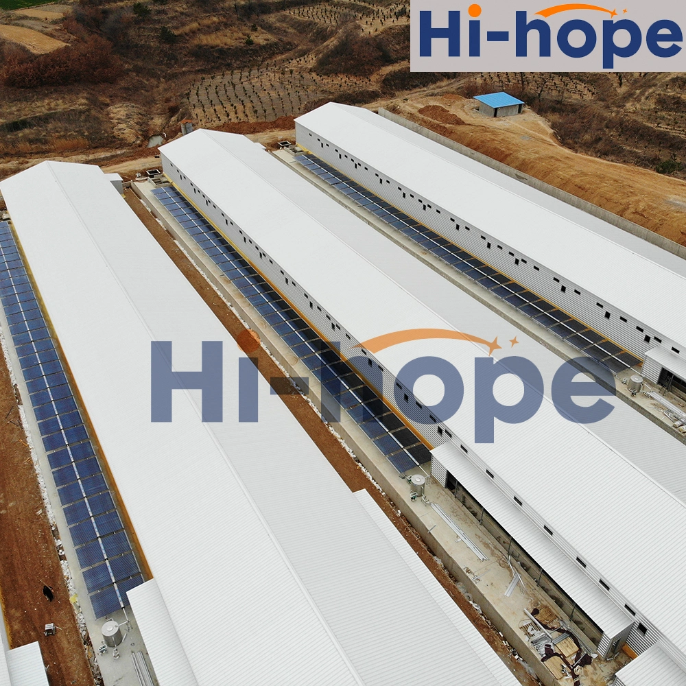 Best Price Prefabricated Steel Structure Poultry Livestock House