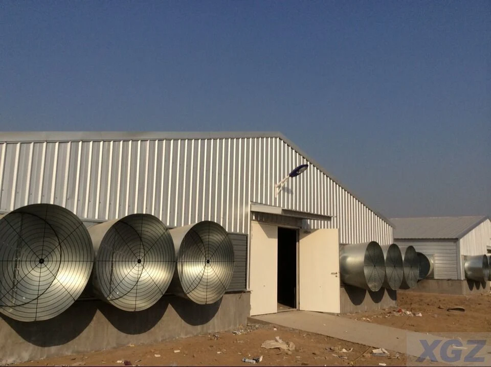 Prefabricated Industrial Galvanized Steel Structure Construction Building High Strength Corrosion Resisting Poultry House