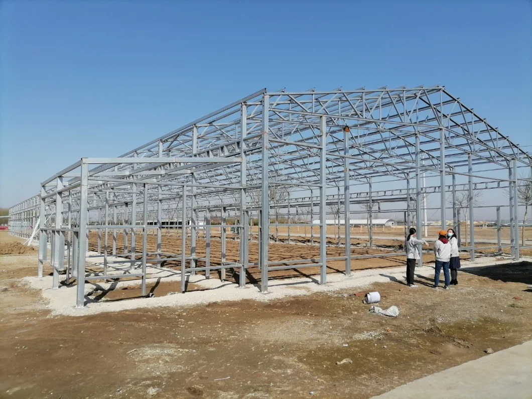Chicken Farm Steel Structure Shed Houses Coop